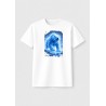 gelo, urso, mitologia, pop, frio, artico