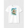 cachorro, surf, alegria, onda, cor